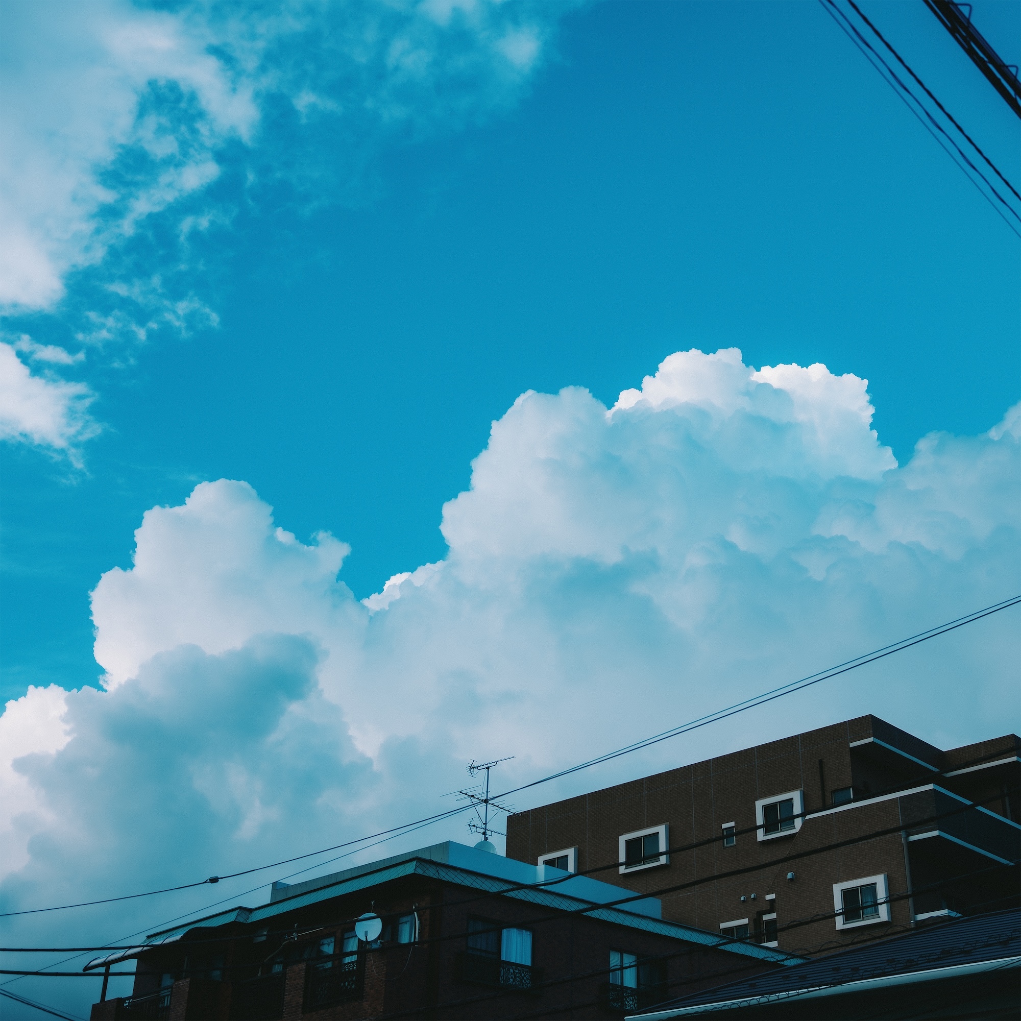 In The Sky